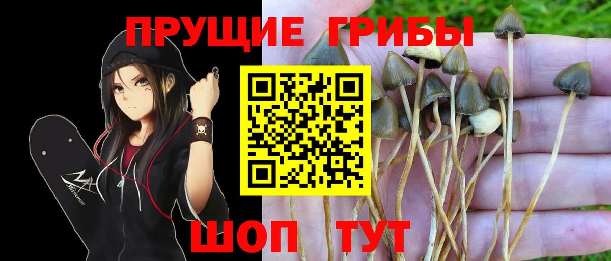 Псилоцибиновые грибы прущие грибы Миллерово