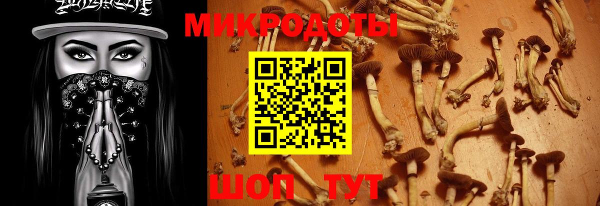 Миллерово  Псилоцибиновые грибы прущие грибы  Вход с VPN 